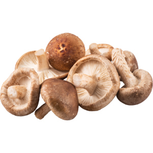 Shii-Take, frisch, 800 g Shii-Take, frisch, 800 g