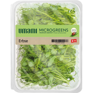 Umami Microgreen Erbsen, 80 g