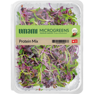 Umami Microgreen Proteinmix, 80 g Umami Microgreen Proteinmix, 80 g