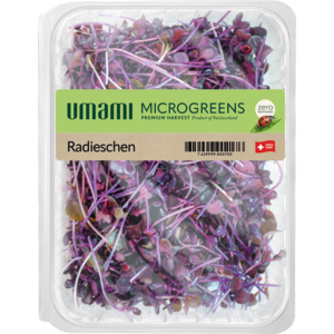 Umami Microgreen Radieschen, 80 g