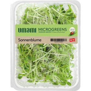 Umami Microgreen Sonnenblumen, 80 g