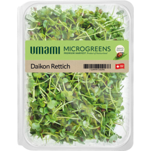 Umami Microgreen Rettich, 80 g