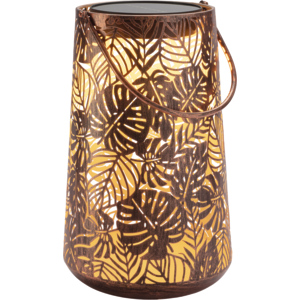 Solar Antic Lantern Jungle