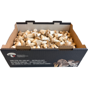 Eryngii/Kräuterseitling Mini, frisch, 1 kg