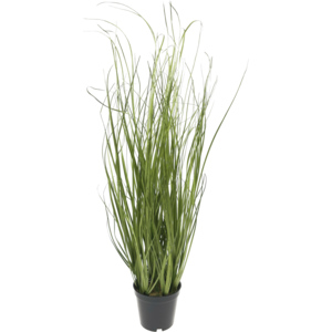 Gras im Plastiktopf, PVC, 91 cm