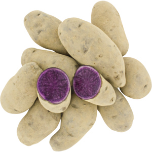 Premium Kartoffeln blau, 3 kg