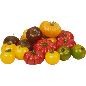 Premium Tomaten Spez. Mix, ca. 1 kg, mind. 3 Farben Premium Tomaten Spez. Mix, ca. 1 kg, mind. 3 Farben