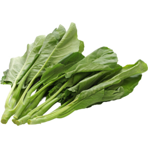 China Broccoli / Pak Kanah, 300 g China Broccoli / Pak Kanah, 300 g