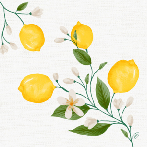 Dunisoft Servietten Lemon Fiesta, 40 x 40 cm, 60 St Dunisoft Servietten Lemon Fiesta, 40 x 40 cm, 60 St