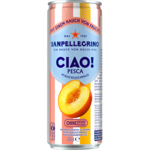 San Pellegrino CIAO Pfirsich Dose (4 x 6) 33 cl San Pellegrino CIAO Pfirsich Dose (4 x 6) 33 cl