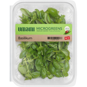 Umami Microgreens Basilikum, CH, 35 g