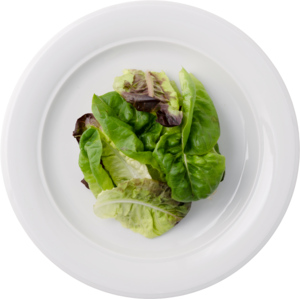 Kopfsalat Multileaf rot und grün, Handschnitt, 500 g Kopfsalat Multileaf rot und grün, Handschnitt, 500 g