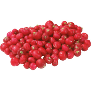 Radiesli ohne Laub, 350 g