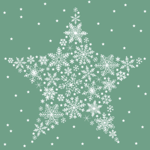 In/Out Servietten Star green, 33 x 33 cm, 50 Stück In/Out Servietten Star green, 33 x 33 cm, 50 Stück