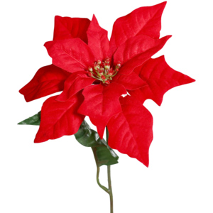 Poinsetta, 45 cm