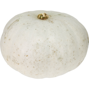 Kürbis Grey Star, ca. 2,5 kg