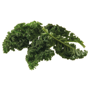 Premium Federkohl, 3 kg