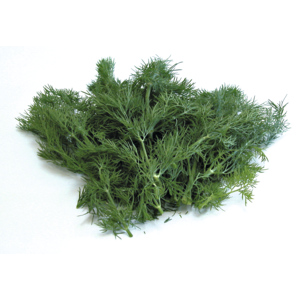 Dill, 50 g Dill, 50 g
