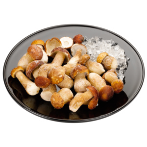 Quality Steinpilze ganz, TK, 5 x 1 kg