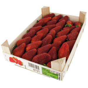 Fragole extra, 1 kg